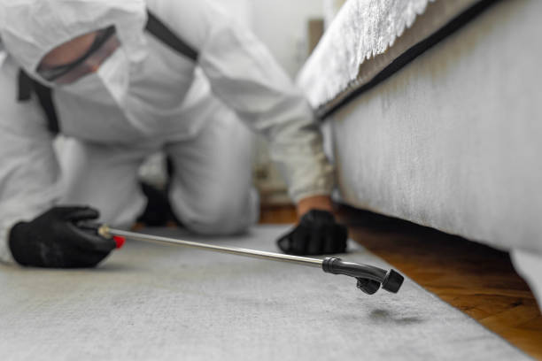 Professional Mosquito Control technician working in Clifton Springs, NY