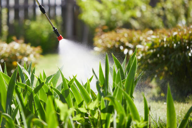 24/7 Emergency Mosquito Control experts in Clifton Springs, NY
