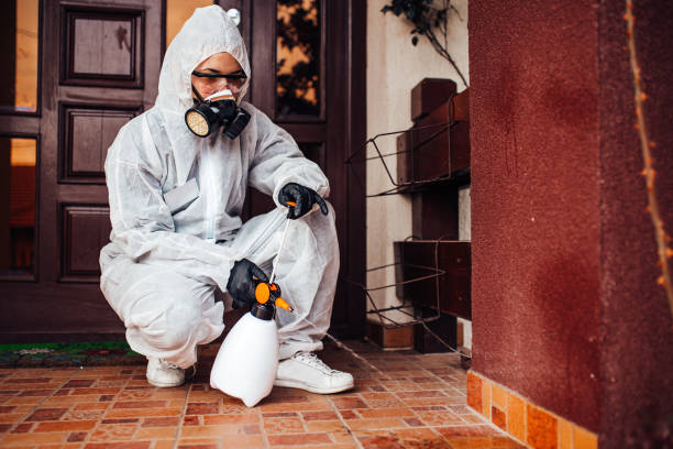 Reliable Mosquito Control contractor in Clifton Springs, NY by Nex Pest Control