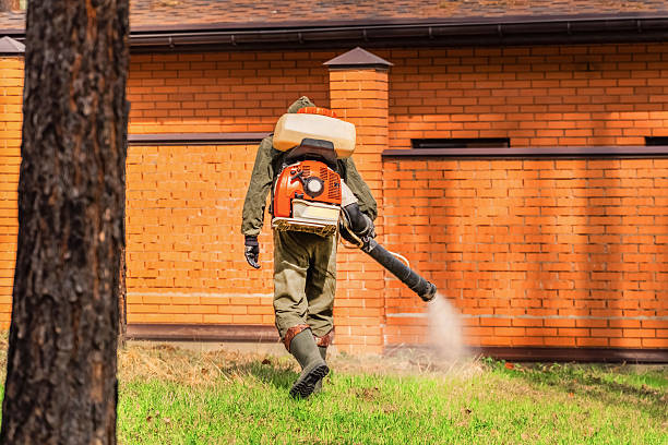 Trusted Bed Bug Control service in Clifton Springs, NY - Nex Pest Control